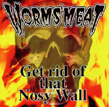 album「Get rid of that Nosy Wall」